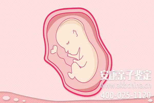 云南凤城哪里可以做无创胎儿亲子鉴定,孕期是否可以做亲子鉴定？ 